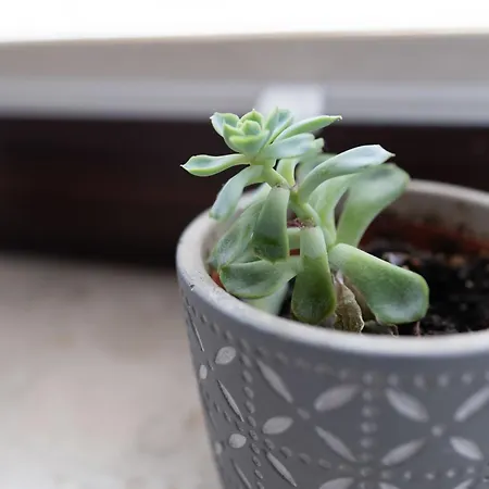 Apartmán Haus Kehrwieder Nordsee